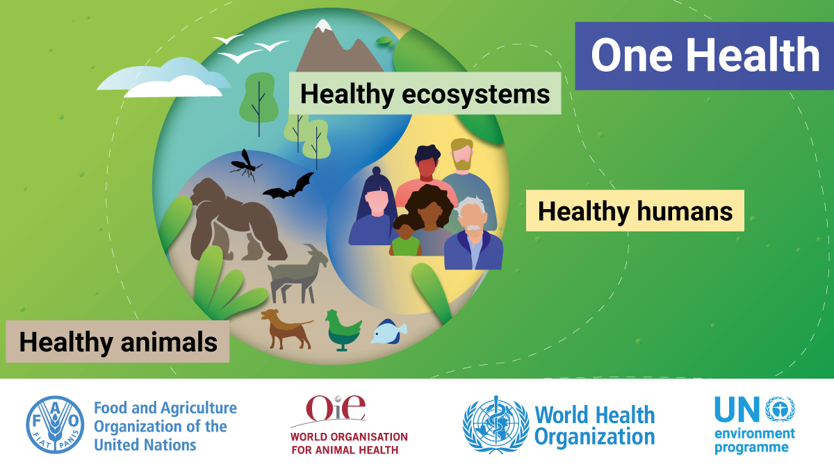One_Health_ONU_2021